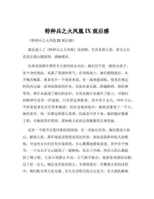特种兵之火凤凰IX观后感