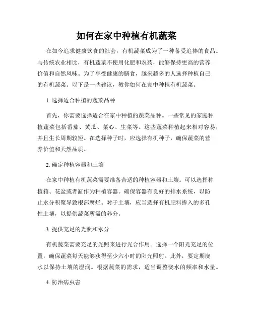 如何在家中种植有机蔬菜
