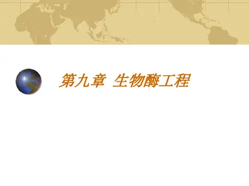 第九章生物酶工程