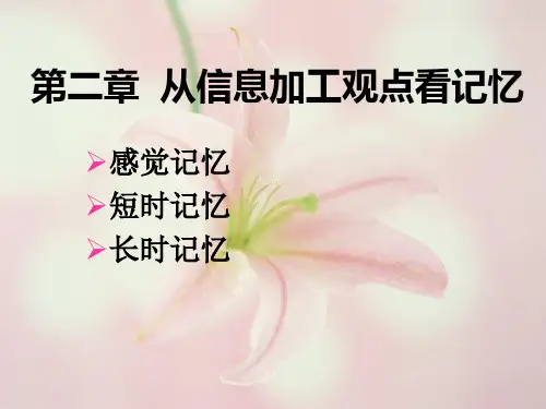记忆心理学第2章 信息加工观点看记忆2