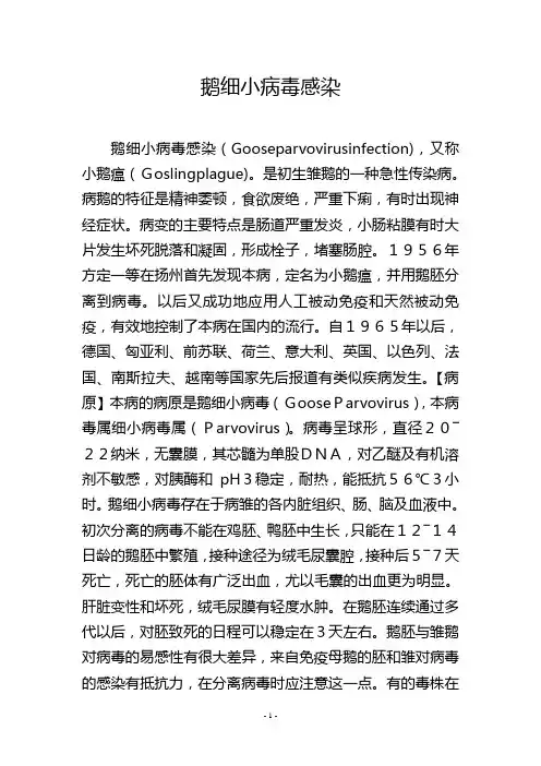 鹅细小病毒感染