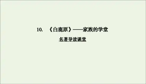 2020学年高中语文第五单元家庭的记忆2白鹿原课件新人教版选修《中国小说欣赏》