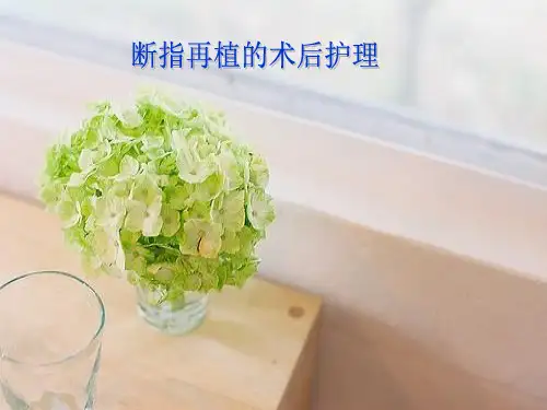 断肢再植的术后护理ppt课件
