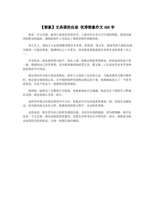 【想象】文具袋的自述 优秀想象作文450字