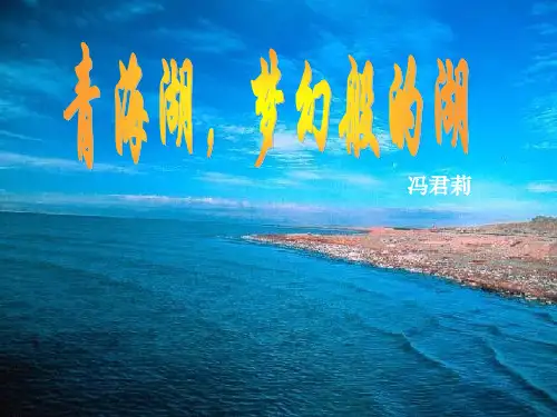 《青海湖,梦幻般的湖》ppt5