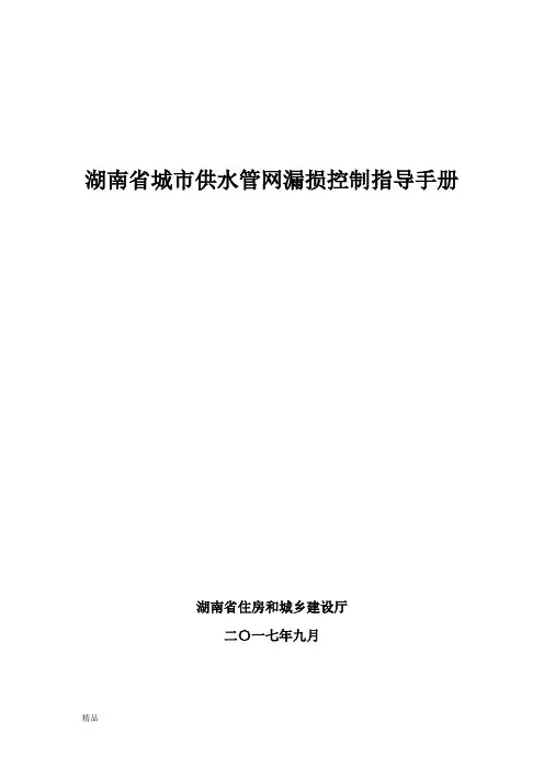湖南省城市供水管网漏损控制指导手册文件