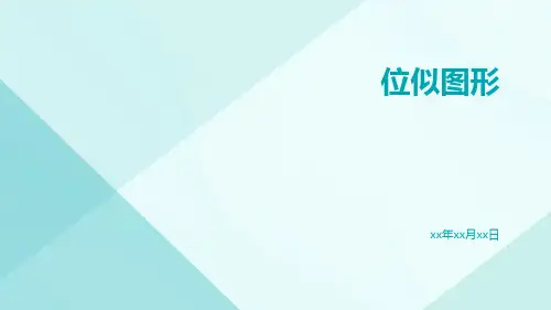 位似图形-精品文档