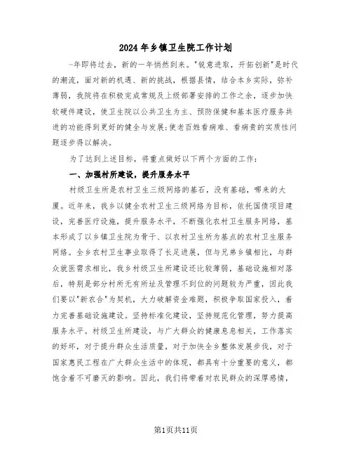 2024年乡镇卫生院工作计划（四篇）