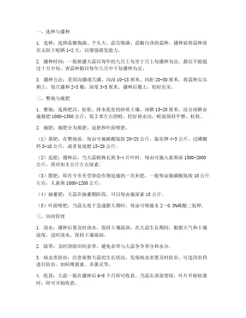 种植大蒜的管理技术