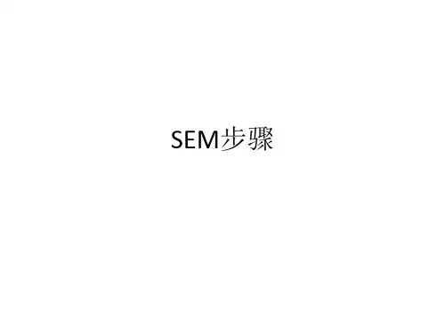 4SEM步骤