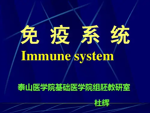 大学课件组织学与胚胎学免疫系统