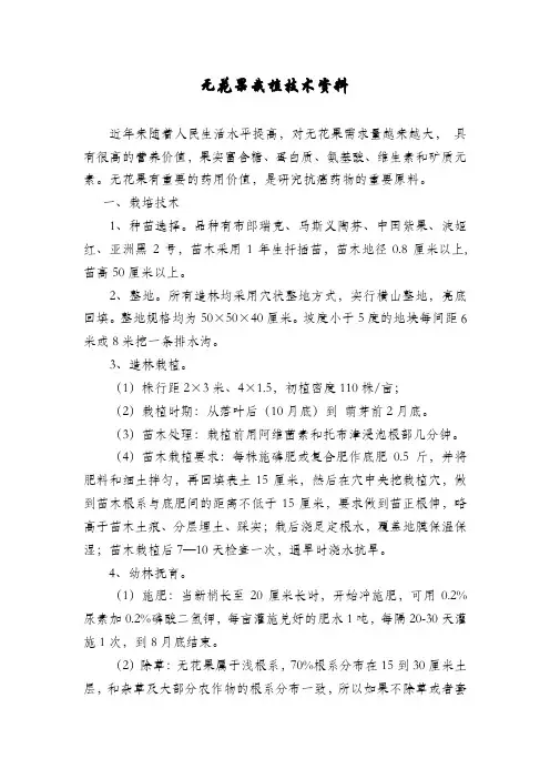 无花果栽植技术资料