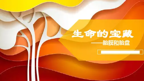 生命的宝藏胎膜和胎盘