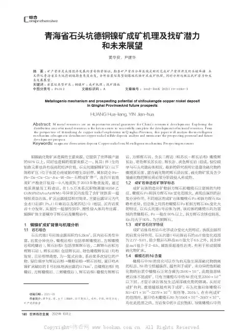 青海省石头坑德铜镍矿成矿机理及找矿潜力和未来展望