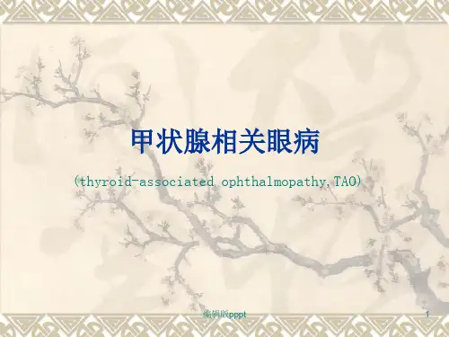 甲状腺相关眼病PPT课件