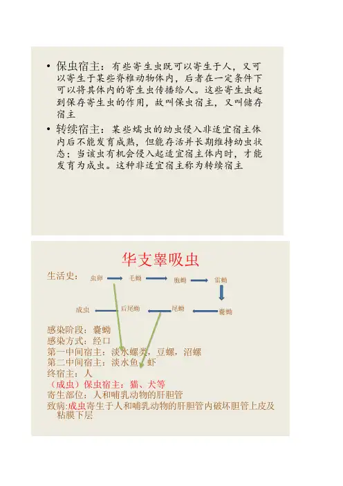 寄生虫复习资料