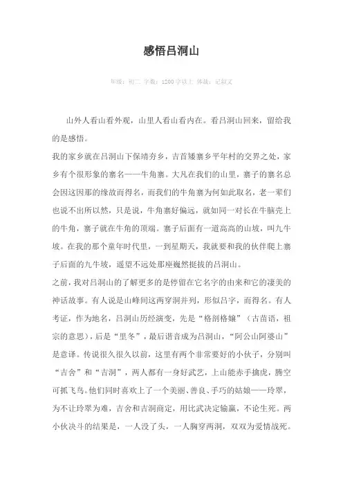 感悟吕洞山1200字以上作文
