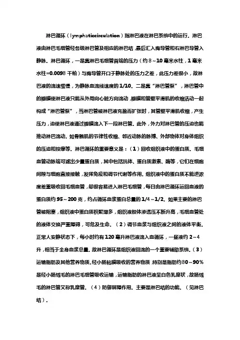 淋巴循环名词解释