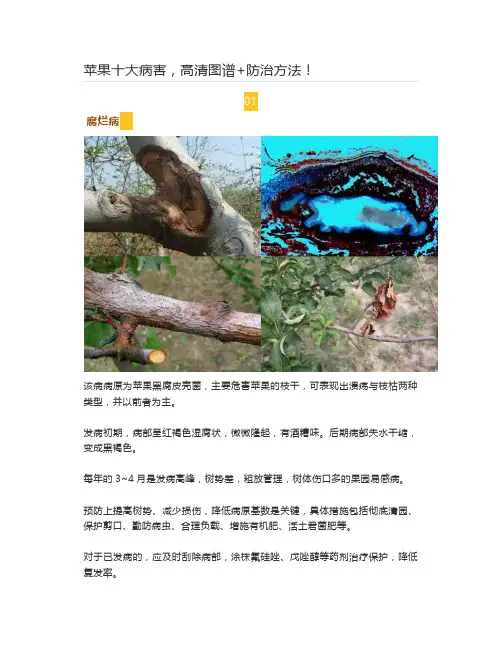  苹果十大病害,高清图谱+防治方法!