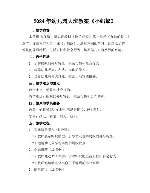 2024年幼儿园大班教案《小蚂蚁》