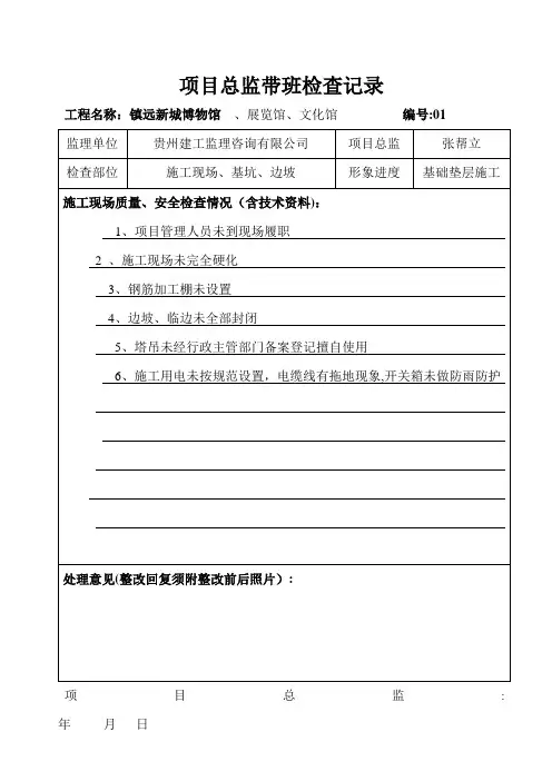 项目总监带班检查记录【范本模板】