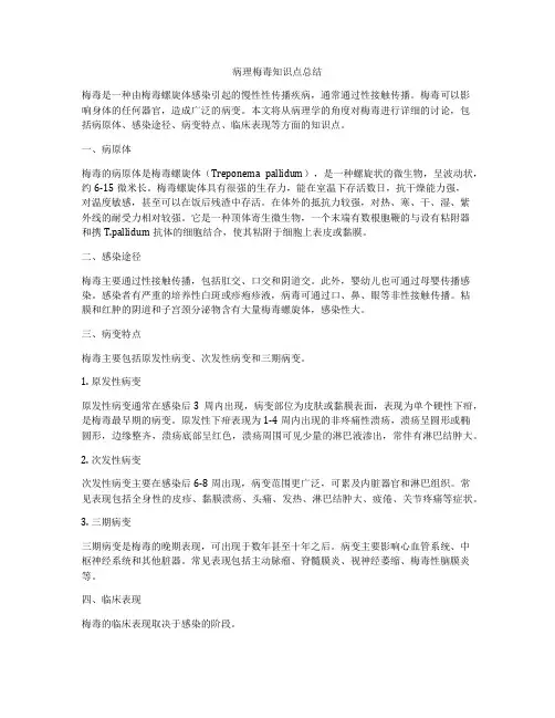 病理梅毒知识点总结