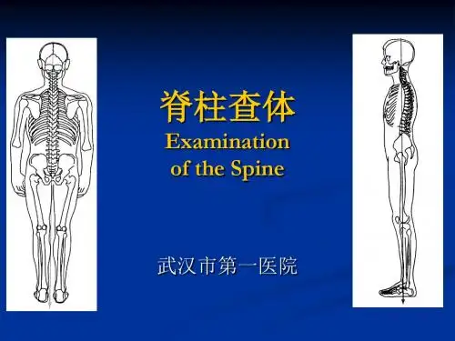 脊柱查体课件ppt课件
