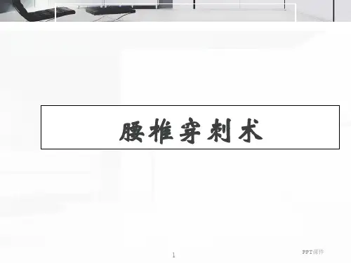 腰椎穿刺术   ppt课件
