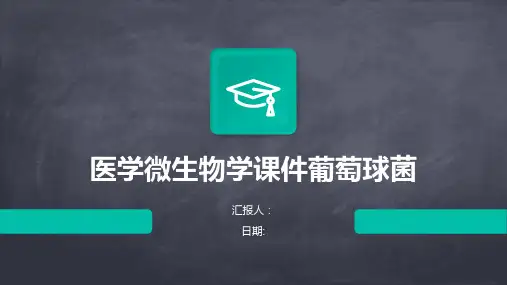 医学微生物学课件葡萄球菌
