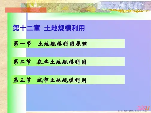 第十一章  土地规模应用ppt课件
