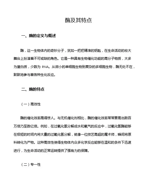 酶及其特点