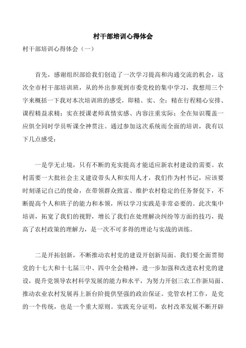 村干部培训心得体会