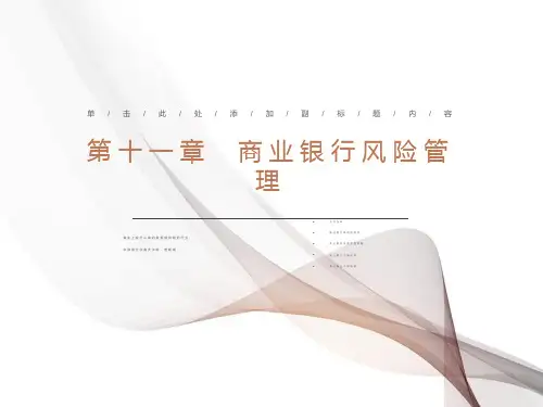 商业银行风险管理和内部控制ppt课件