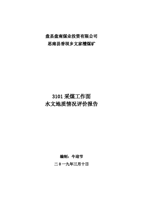 3101采煤工作面工作面水文地质情况评价报告