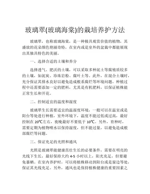 玻璃翠(玻璃海棠)的栽培养护方法
