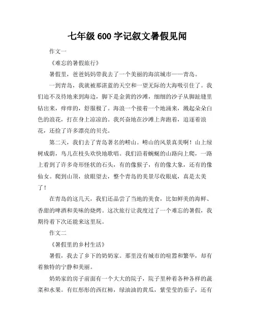七年级600字记叙文暑假见闻