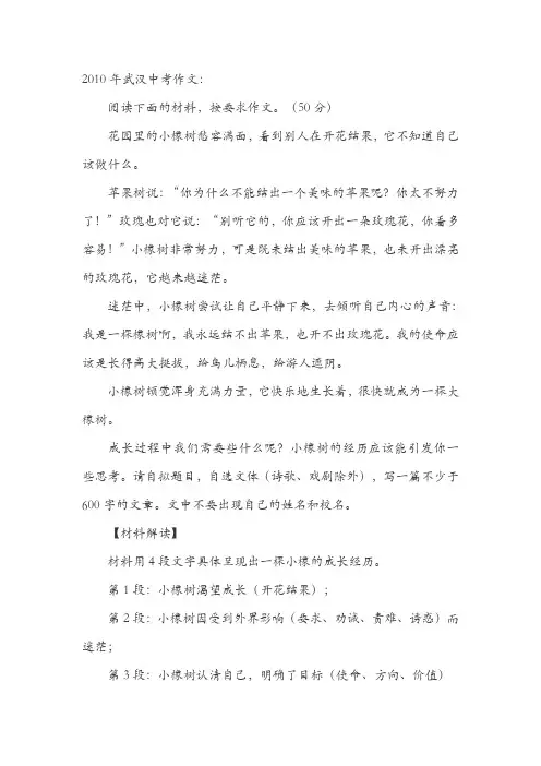 湖北武汉十年中考真题作文