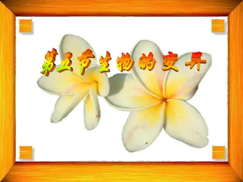 生物的变异PPT课件20 苏教版