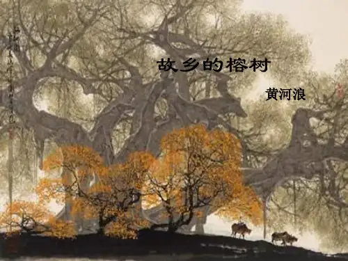 故乡的榕树
