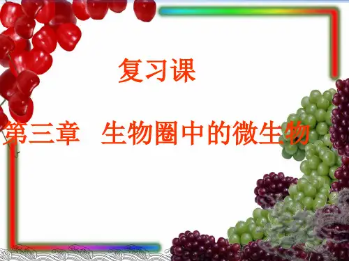 生物圈中的微生物复习课件(济南版)