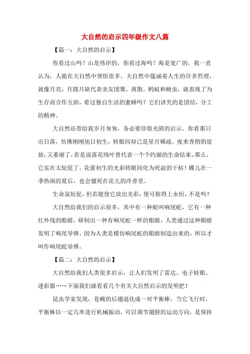 大自然的启示四年级作文八篇