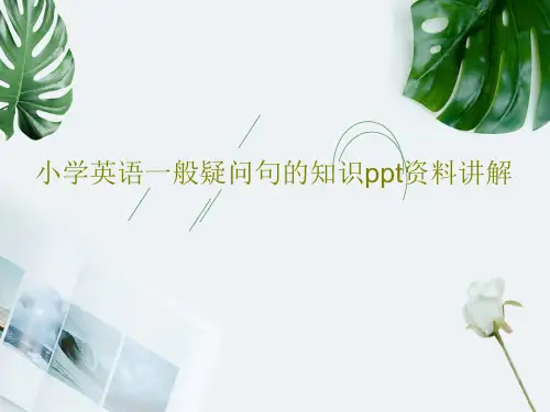 小学英语一般疑问句的知识ppt资料讲解共28页PPT