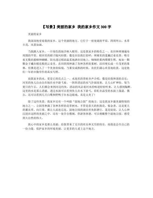 【写景】美丽的家乡 我的家乡作文300字