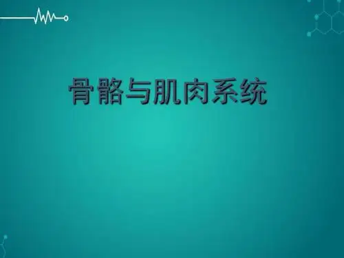 骨关节正常、基本病变PPT课件
