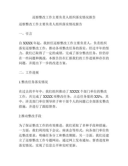 巡察整改工作主要负责人组织落实情况报告