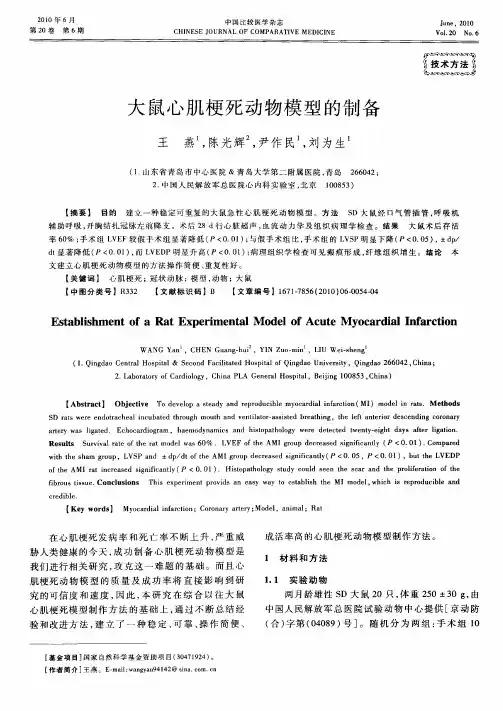 大鼠心肌梗死动物模型的制备