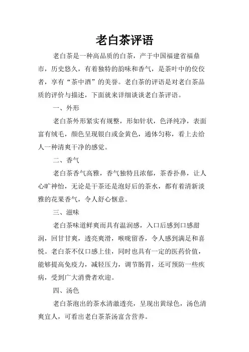 老白茶评语