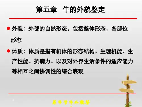 养牛学牛外貌鉴定