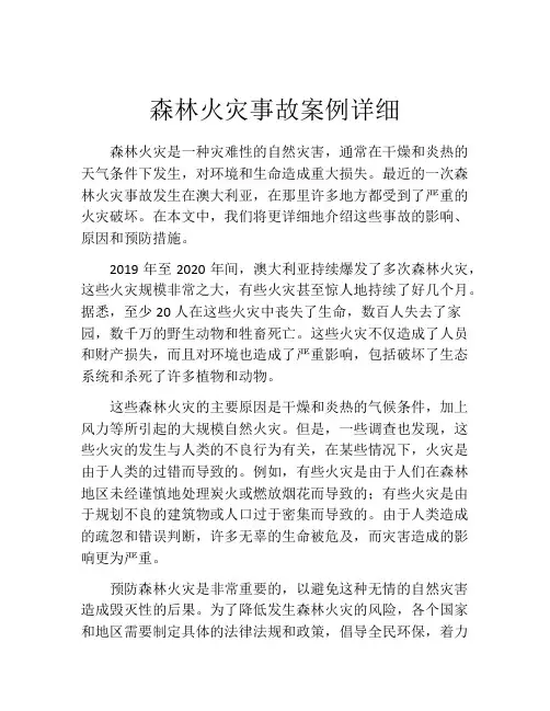 森林火灾事故案例详细