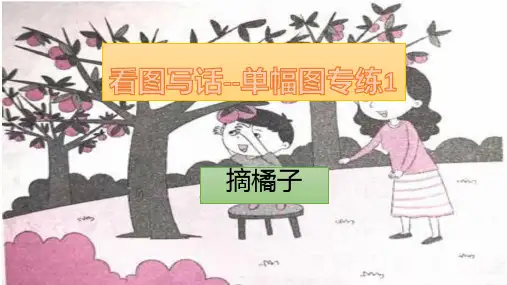 统编版一年级语文上册看图写话摘橘子(共13张PPT)